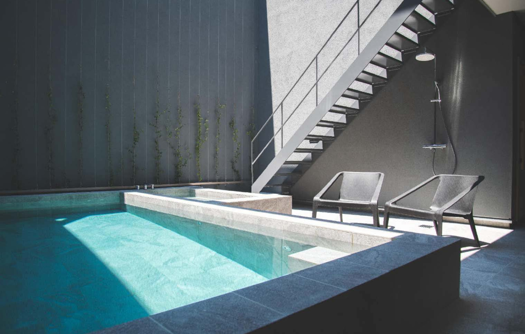 見どころポイント1の画像