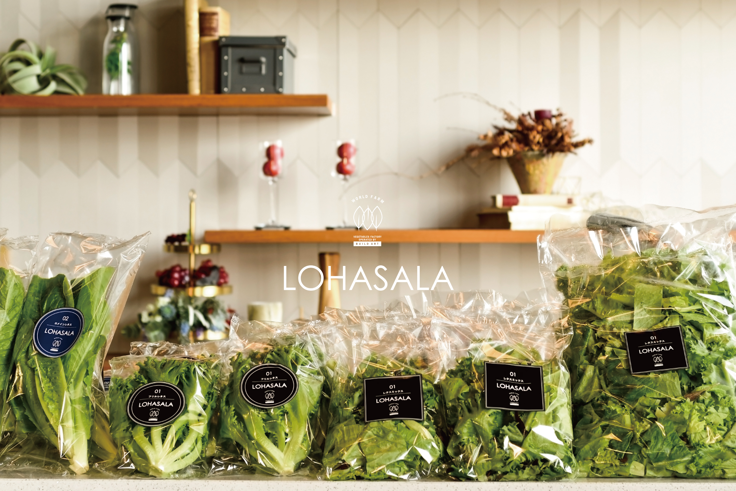 ワールドファーム事業人工光野菜工場で農薬不使用の安心安全な野菜づくり